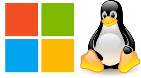 Exécuter les programmes Linux sous Windows