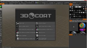 Pilgway 3D Coat 4.5.35 x64