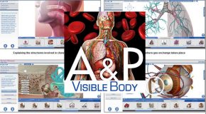 Visible Body Anatomy and Physiology 1.5.04