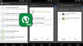 µTorrent Pro v3.14