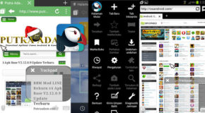 Puffin Browser Pro v4.8.0.2790