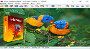 IrfanView V4.44 avec plugins – Portable