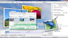 PicturesToExe Deluxe 8.0.22