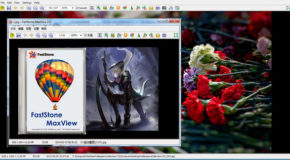 FastStone MaxView v3.1 + Portable