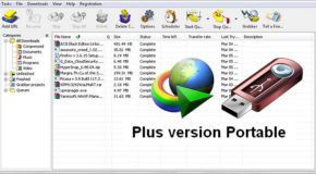 Internet Download Manager 6.28 Build 1 + Portable