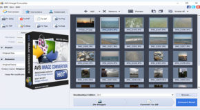 AVS Image Converter 5.0.3.293