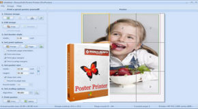 RonyaSoft Poster Printer 3.2.17