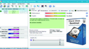 Hard Disk Sentinel Pro 5.20 Build 9372