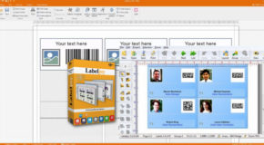 LabelJoy Light /Basic /Full /Server 6.20.03.27