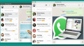 WhatsApp pour Windows 0.3.557