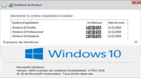 Windows 10 V1809 RS5 3in1 Janvier 2019