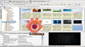 XnViewMP 1.3.0 + Portable