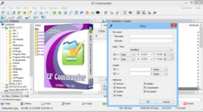 EF Commander 19.01 Portable