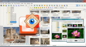 FastStone Image Viewer 7.9 + Portable