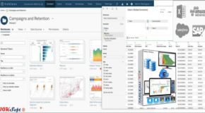 Tableau Desktop Professional 2019.1.3