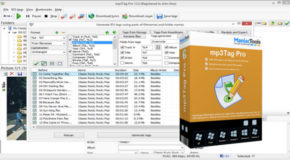 Mp3tag Pro 12.1 Build 584 + Portable