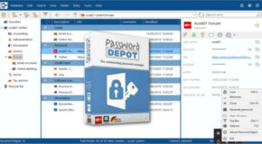 Password Depot 17.2.1 Standard + Corporate Préactivé