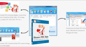 Renee PDF Aide 2019.7.29.83