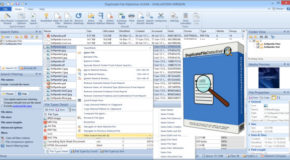 Duplicate File Detective Pro 7.0.71.0