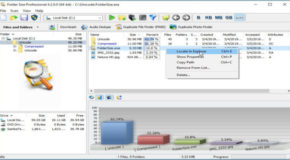 Folder Size Professional 4.5.0.0 + Portable