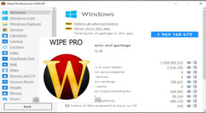 Wipe Professional 2021.10 + Portable