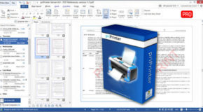 priPrinter Professional 6.6.0