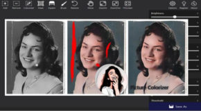 Picture Colorizer Pro 3.0.1 + Portable