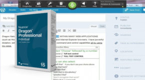 Nuance Dragon Pro Individual 15.61.200.010