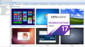 VMware Workstation Pro v17.6.1 Build 24319023