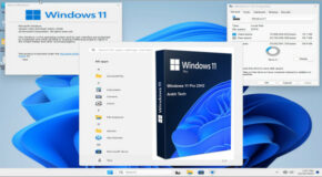 Windows 11 Pro 23H2 Build 22631.2428 Ankh Tech