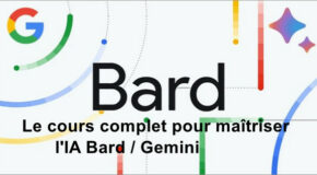 Le cours complet pour maîtriser l’IA Bard / Gemini