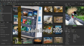 Adobe Bridge 2025 v15.0.0.397 Pré-activé