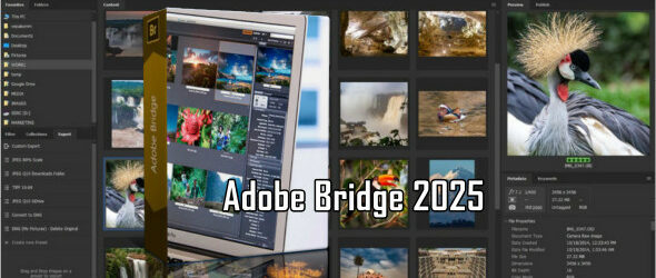 Adobe Bridge 2025 v15.0.0.397 Pré-activé