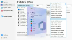 Microsoft Office Professional Plus 2024 VL v2408