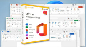 MS Office Professional Plus 2024 VL v2408