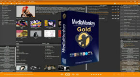 MediaMonkey Gold 2024.0.0.3082